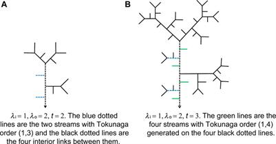 Side Tributary Distribution of Quasi-Uniform Iterative Binary Tree Networks for River Networks